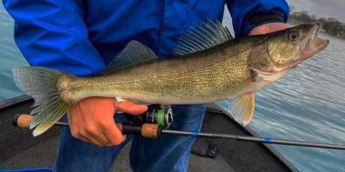 Walleye Fishing