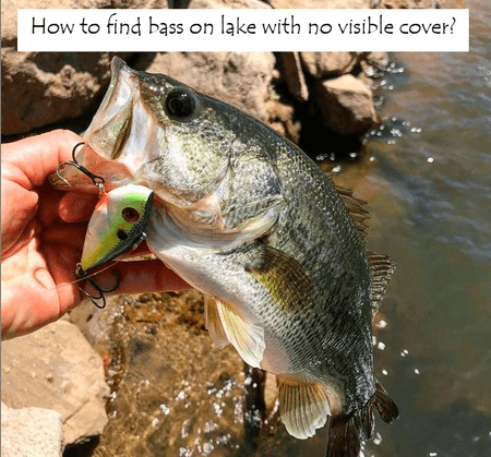 How do I find bass on a lake with no visible cover?