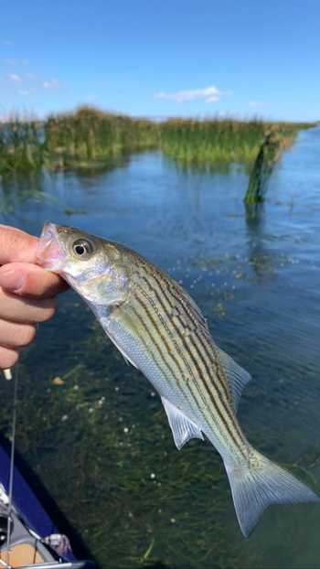 fishingPhoto/9to16/FAFFA307-81A7-42F9-A531-4DDD33FCA21B.jpg