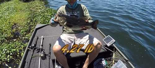 fishingPhoto/16to9/Pinto4.27lb.jpg