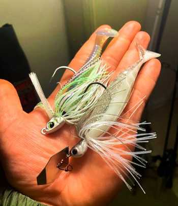 fishingPhoto/9to16/swimjigs-in-hand.JPG