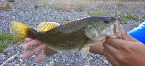 fishingPhoto/16to9/20141009_170206.jpg