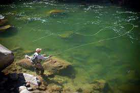 Fly Fishing 101