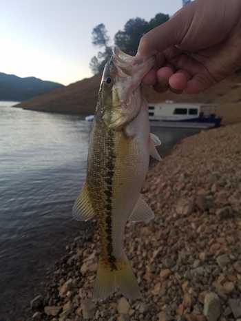 fishingPhoto/9to16/20160909_193527.jpg